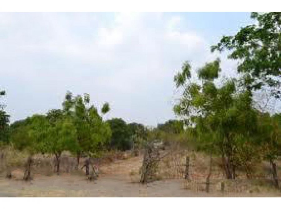 5,400,000 60000sqm Lot area, Farm Lot, San Jose,Nueva Ecija, House