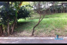 397 SQM Lot Only for Resale in Sun Valley Golf Estates