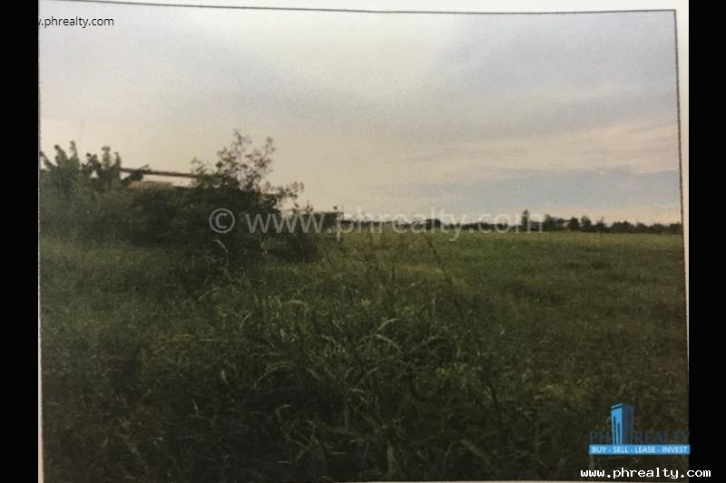 39344 SQM Lot Only for Resale in Cabanatuan, Nueva Ecija- Residential