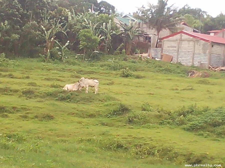 74,636,650 Lot for Sale at Sta. Maria Bulacan, Land Only Property