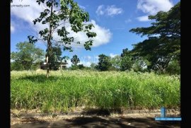 1287 SQM Lot Only for Resale in Sta.Barbara Mission Hills