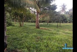 6599 SQM Lot Only for Resale in Private Property