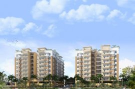 1BHK at 53 Benitez